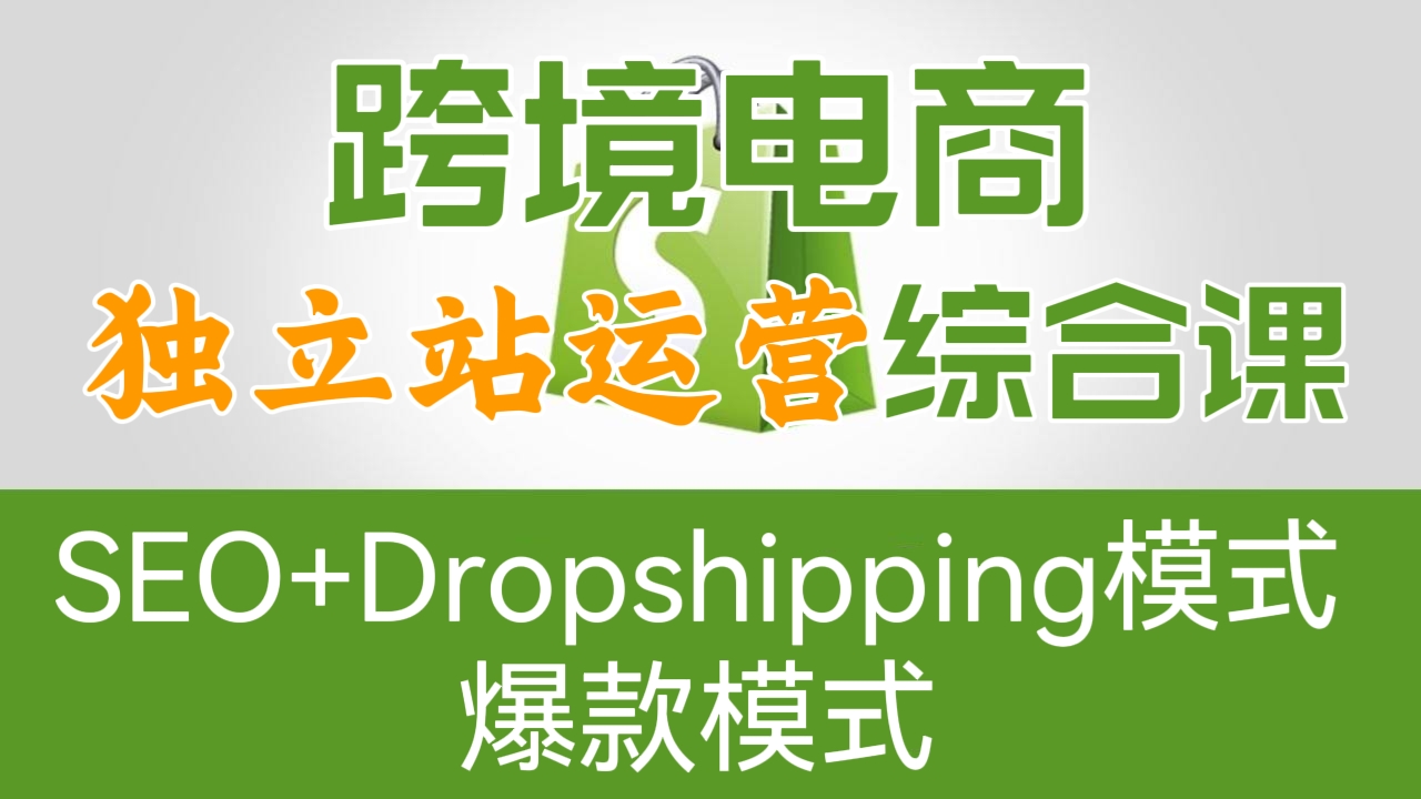 [第143讲]【价值2599元】SEO+Dropshipping模式+爆款模式！跨境电商之独立站运营综合课