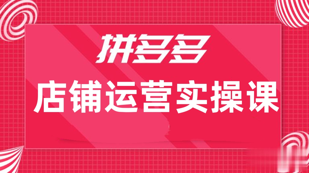 [第169讲]【价值3180元】拼多多店铺运营实操课