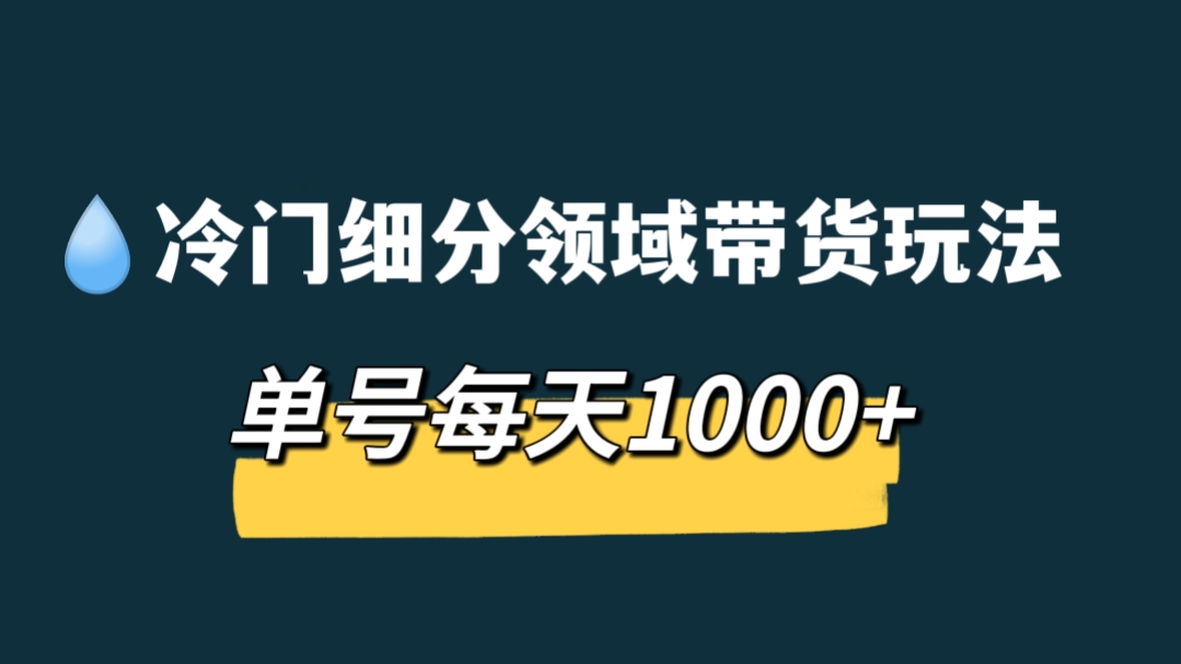[第287讲]💧冷门细分领域带货玩法，单号每天1000+，每人可操作3-5个账号