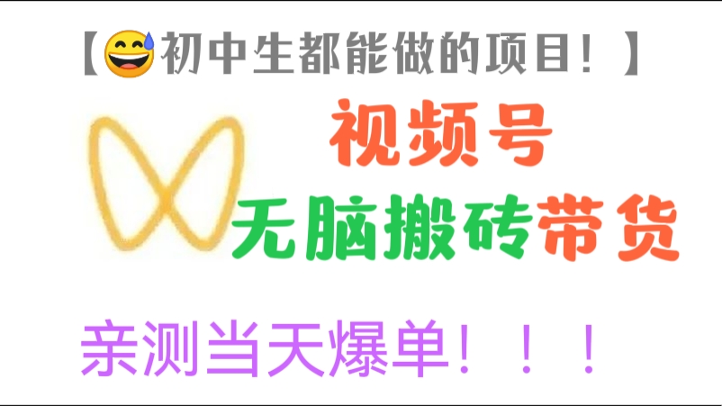 [第297讲]【😅初中生都能做的项目】视频号无脑搬砖带货，亲测当天爆单