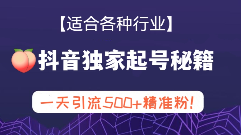 [第317讲]适合各种行业！🍑抖音独家起号秘籍，一天引流500+精准粉！