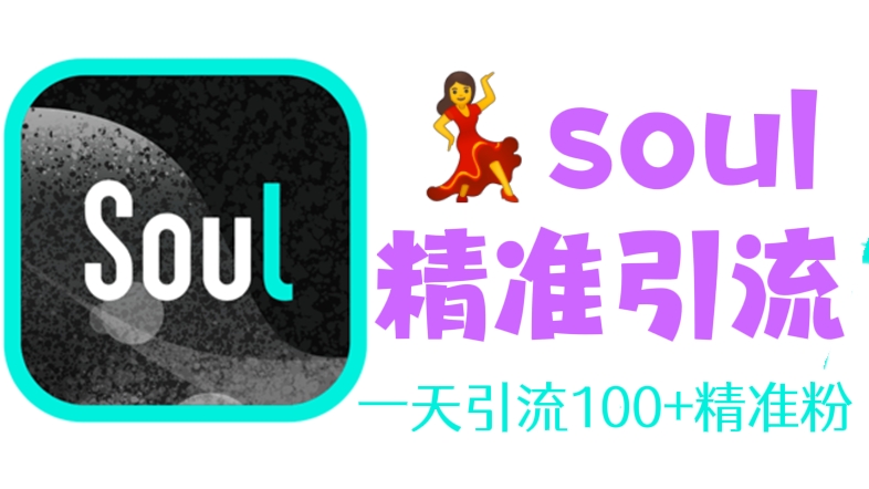 [第270讲]【适合各个行业】💃soul精准引流系列课程，一天引流100+精准粉