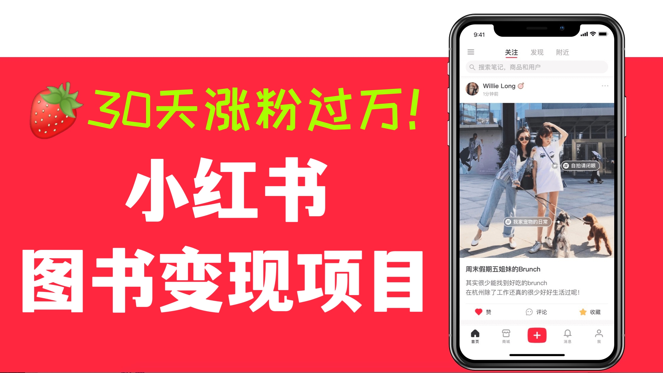 [第364讲]🍓30天涨粉过万！小红书图书变现项目