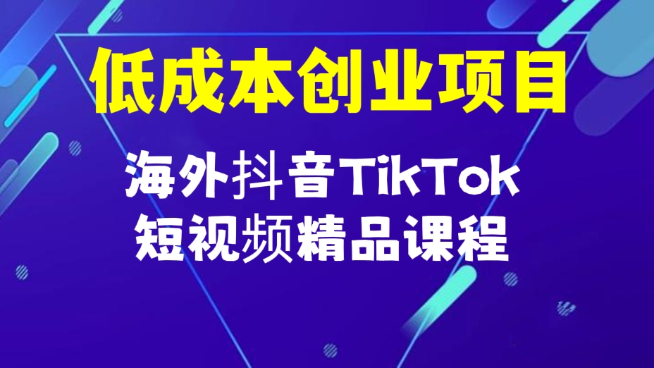 [第419讲]【💰低成本创业项目】价值4580元的海外抖音TikTok短视频精品课程(从入门到精通全系列)