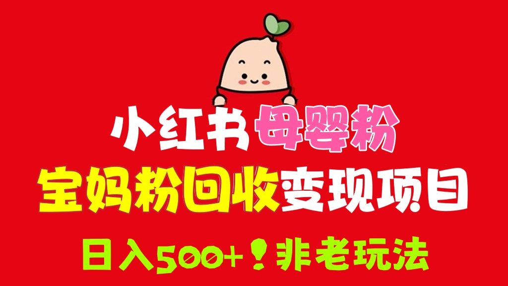 [第446讲]❤️小红书母婴粉宝妈粉回收变现项目，日入500+！（非老玩法）