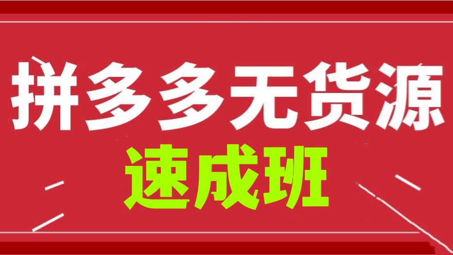 [第458讲]🥎适合兼职或者是新手入场！🏓价值2980元的拼多多无货源速成班