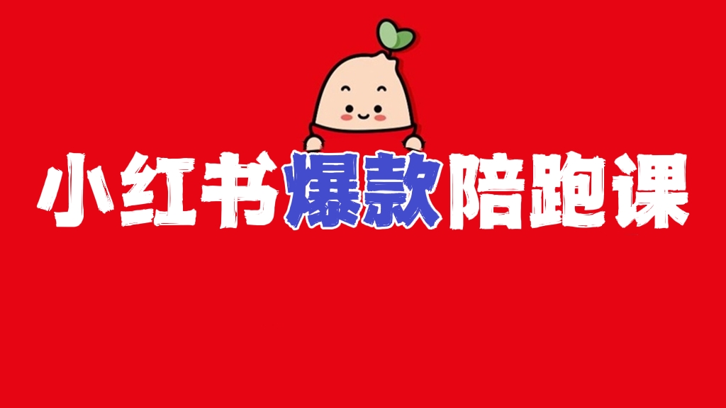 [第498讲]❤️小红书爆款陪跑课