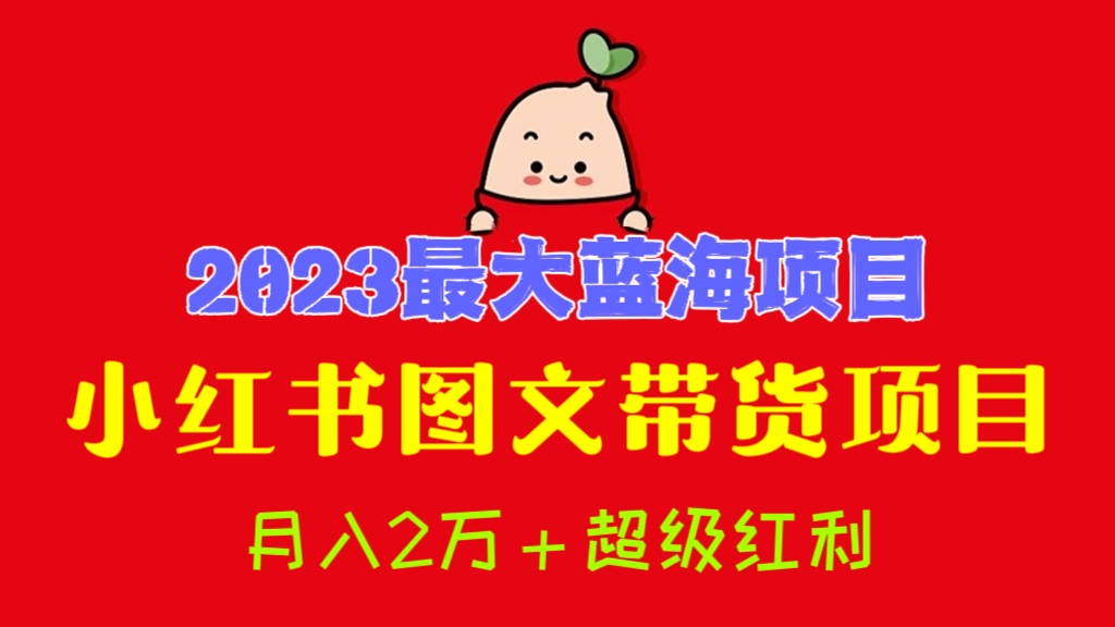 [第568讲]🔥🔥🔥2023最大蓝海项目🌊——小红书图文带货项目，月入2万＋超级红利