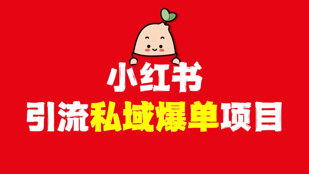 [第608讲]❤️小红书引流私域爆单项目