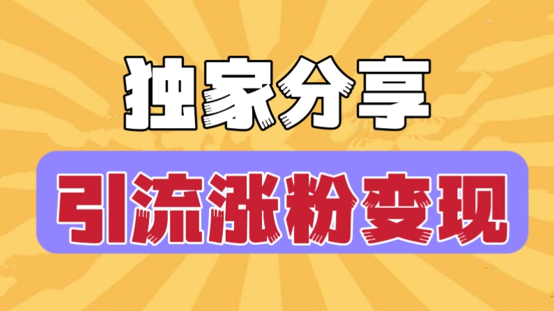 [第650讲]【❤️独家分享】🔥2023最全引流涨粉变现方法合集