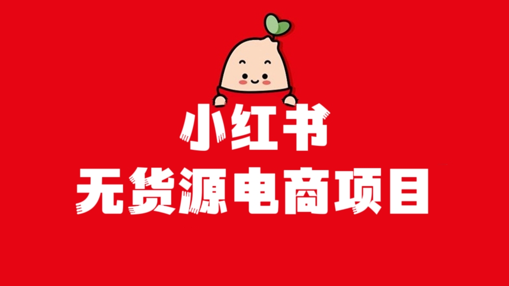 [第654讲]💯小红书无货源电商项目