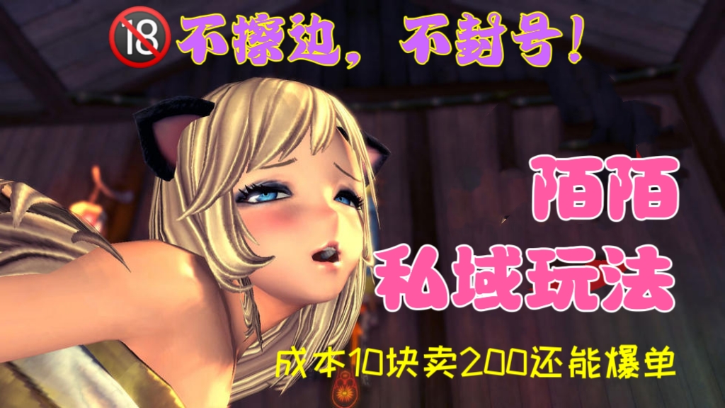 [第692讲]🔞不擦边，不封号！💋陌陌私域玩法，成本10块卖200还能爆单