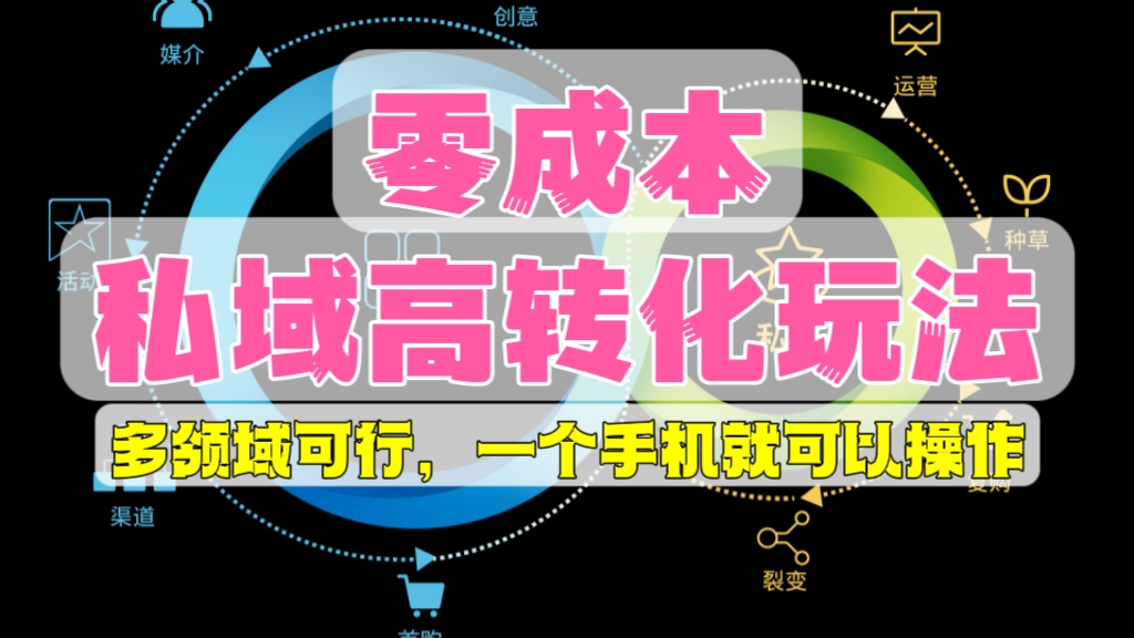[第713讲]⭕零成本私域高转化玩法，多领域可行，一个手机就可以操作
