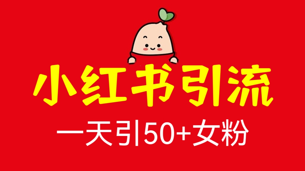 [第729讲]😍小红书引流，一天引50+女粉