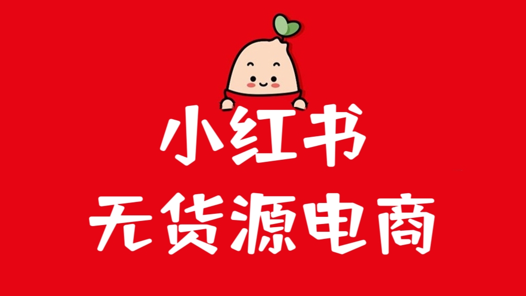 [第731讲]💋小红书无货源电商系列课程