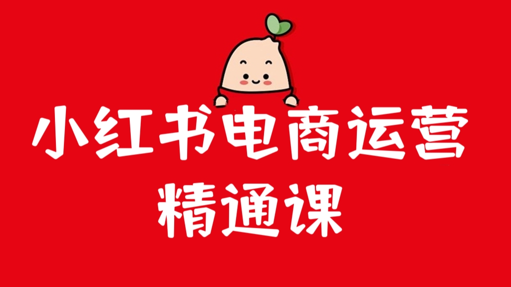 [第773讲]🍓小红书电商运营精通课
