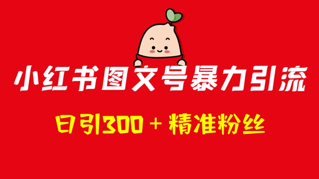 [第830讲]💥小红书图文号暴力引流，日引300＋精准粉丝