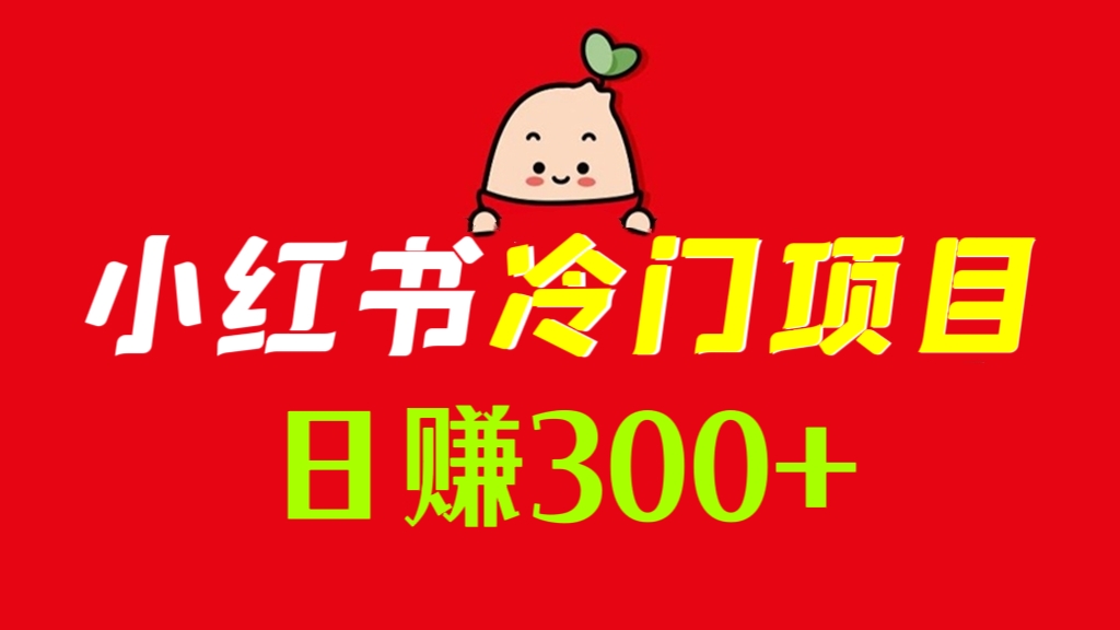 [第845讲]😍外面收费1980元的小红书颜值测评冷门项目，日赚300+
