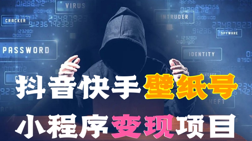 [第846讲]❤️特别适合个人的赚钱项目🎶抖音快手壁纸号小程序变现项目