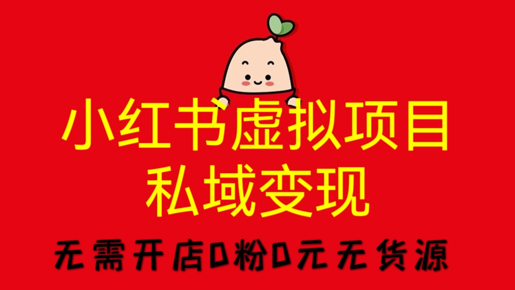 [第868讲]🐳无需开店0粉0元无货源，❤️小红书虚拟项目私域变现，可多号操作