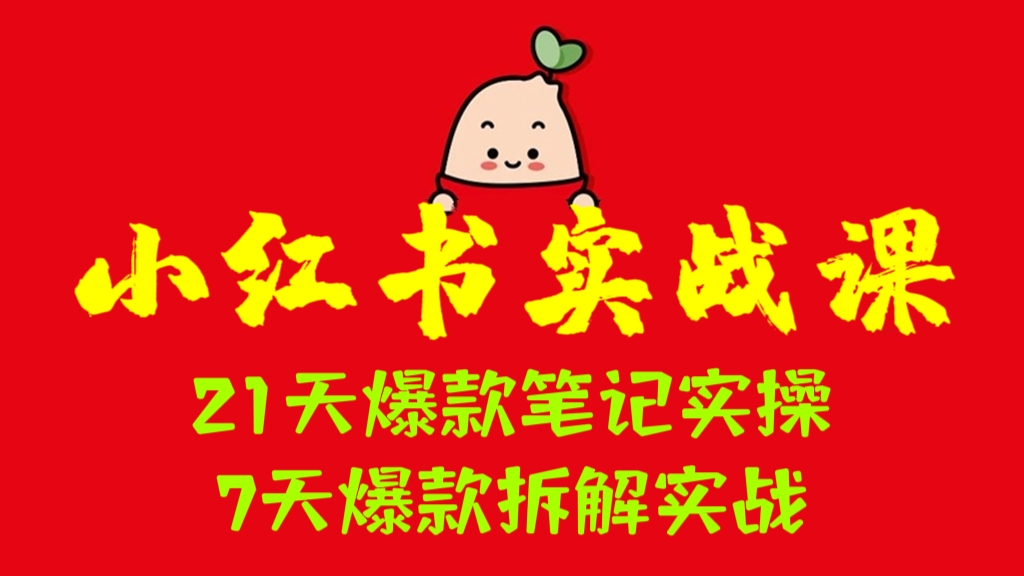 [第913讲]🔥🔥🔥小红书实战课：21天爆款笔记实操+7天爆款拆解实战