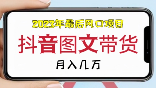 [第945讲]🔥2023年最后风口项目！🌈抖音图文带货月入几万