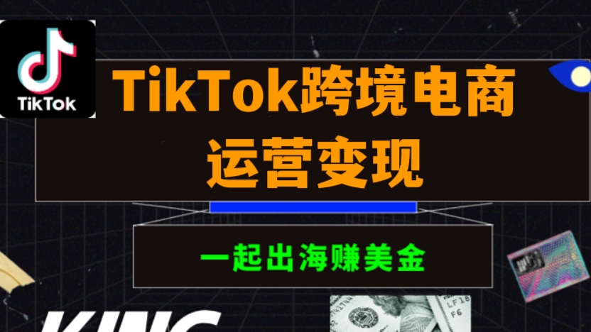 [第973讲]⭕从0基础到精通！🌐TikTok跨境电商运营变现全流程