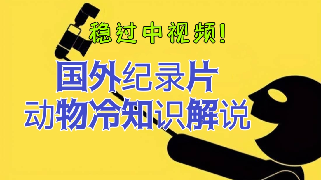 [第980讲]😘稳过中视频！🦁🐯😻外面卖1699元的国外纪录片动物冷知识解说