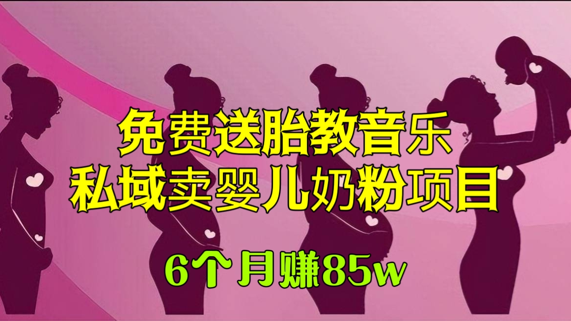 [第988讲]🔥6个月赚85w！🎁免费送胎教音乐转私域卖婴儿奶粉项目，抖音无人直播变现