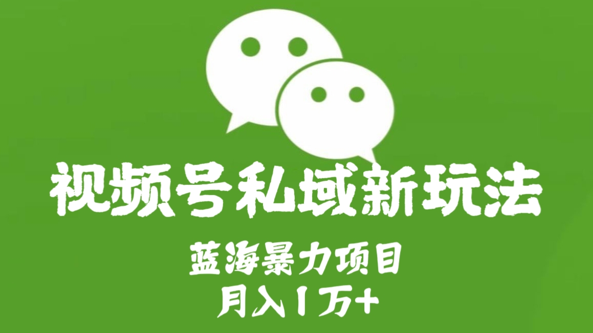 [第1103讲]🌊蓝海暴力项目月入1万+！🧲视频号私域新玩法