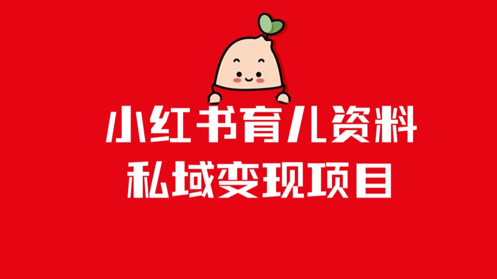 [第1122讲]💰多种变现方式，日入500+！❤️小红书育儿资料私域变现项目