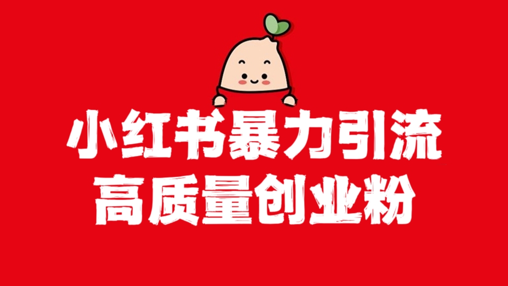 [第1136讲]🧲价值2980元的小红书暴力引流高质量创业粉