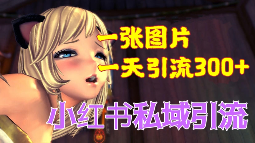[第1159讲]🔞一张图片一天引流300+！🍓小红书私域引流