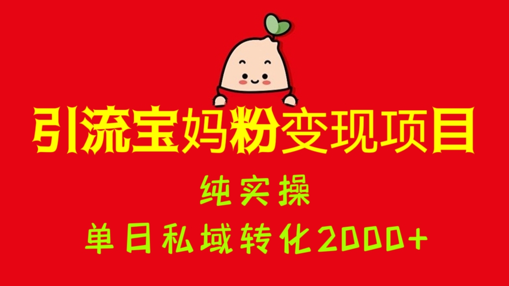 [第1169讲]🅱️纯实操、单日私域转化2000+！🧲2023年引流宝妈粉变现项目