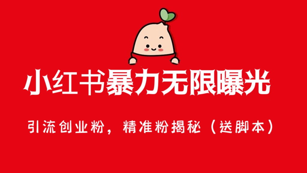 [第1174讲]❤️小红书暴力无限曝光，引流创业粉，精准粉揭秘（送脚本）