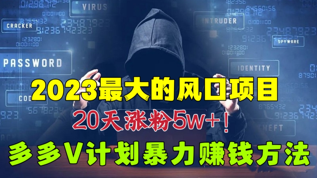 [第1124讲]【🌬️2023最大的风口项目】👍👍👍20天涨粉5w+！多多V计划暴力赚钱方法
