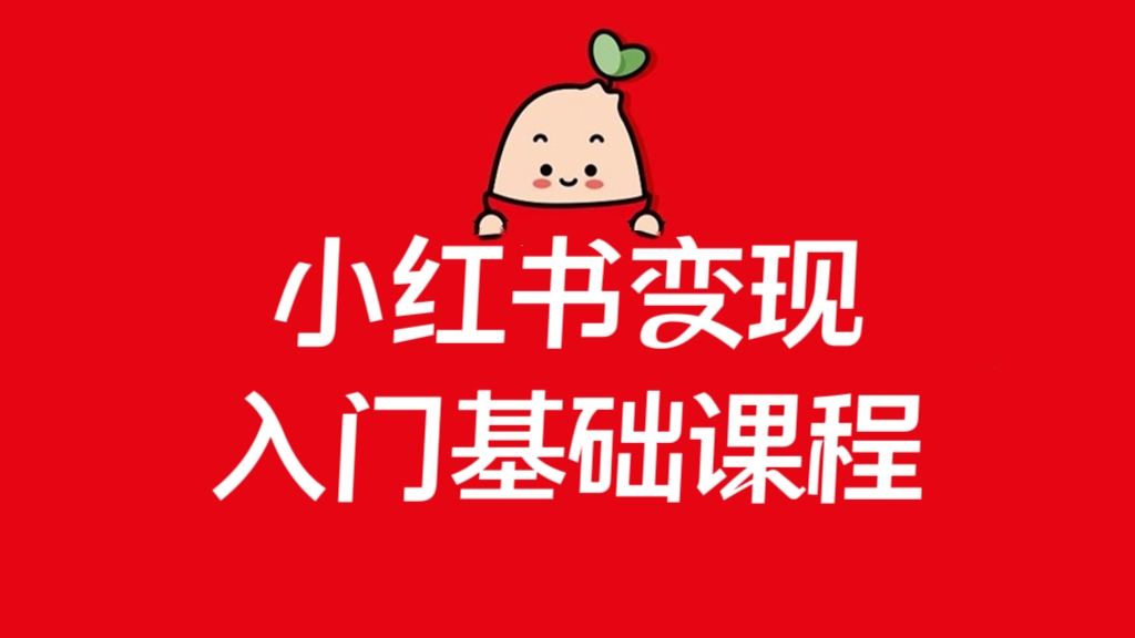 [第1198讲]💪🏻小白必学！❤️小红书变现入门基础课程
