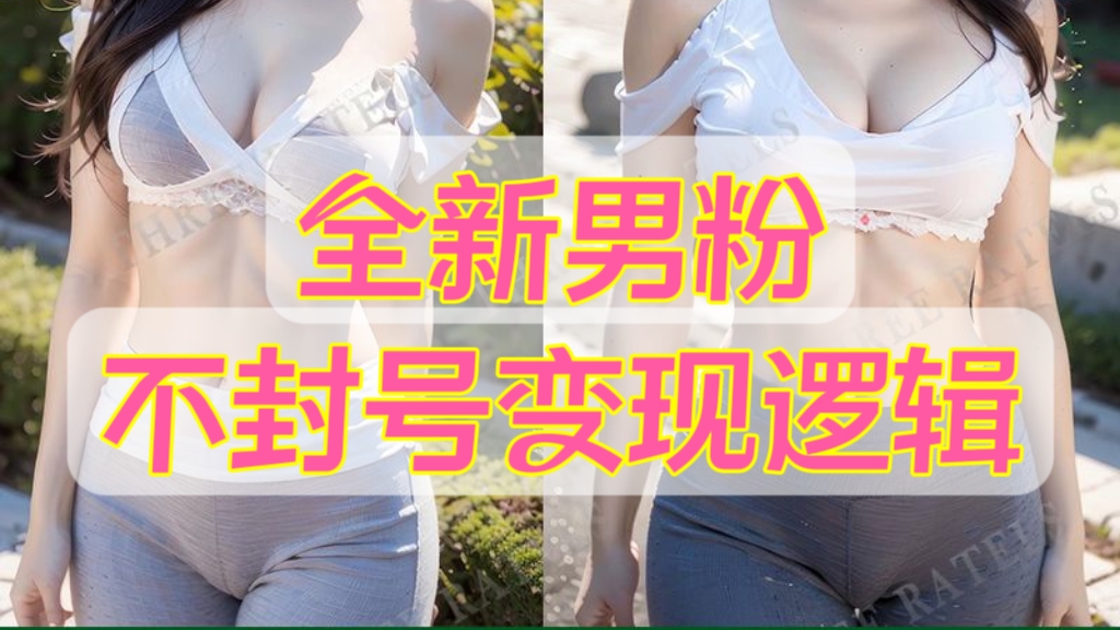 [第2009讲]㊙️全新男粉不封号变现逻辑，实操日收入1000＋