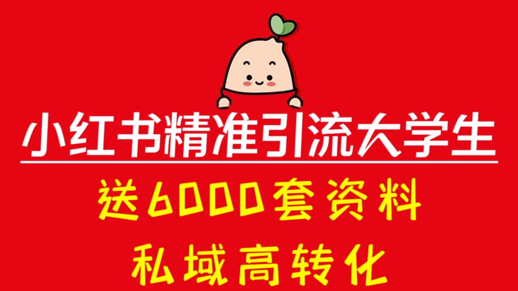 [第2032讲]❤️送6000套资料！0成本项目，小红书精准引流大学生，私域高转化