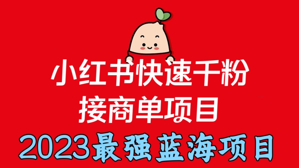 [第2049讲](❤️玩法）2023最强蓝海项目！小红书快速千粉接商单项目，长期稳定