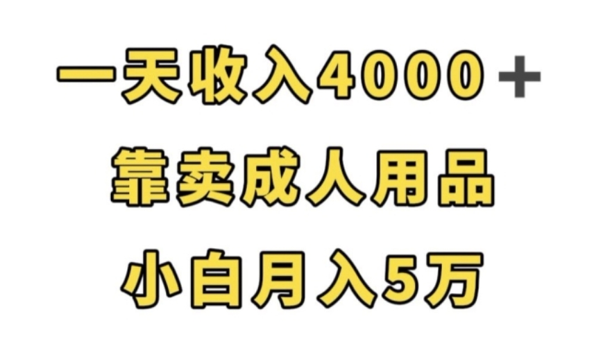 [第2064讲]一天收入4000+，卖成人用品，小白轻松月入5万