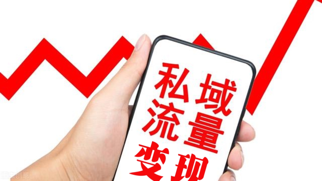 [第2146讲]5天实现短视频引流私域变现