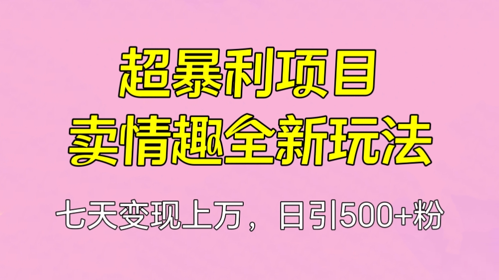 [第2180讲]超暴利项目，卖情趣全新玩法，七天变现上万，日引500+粉