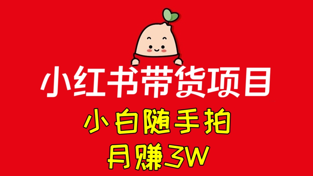 [第2204讲]❤️小白随手拍，月赚3W！小红书带货项目