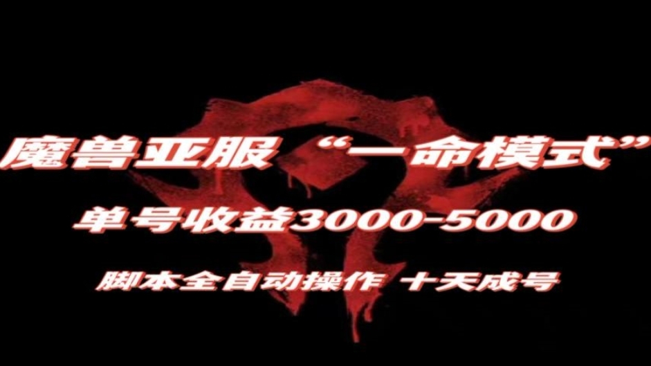 [第2219讲]【保姆级教学】魔兽亚服一命模式，脚本全自动操作，10天成号，单号收益3000-5000