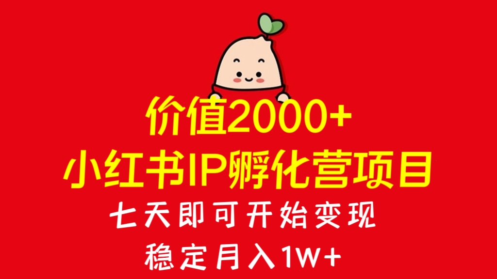 [第2254讲]【超级大蓝海】价值2000+的小红书IP孵化营项目，七天即可开始变现，稳定月入1W+