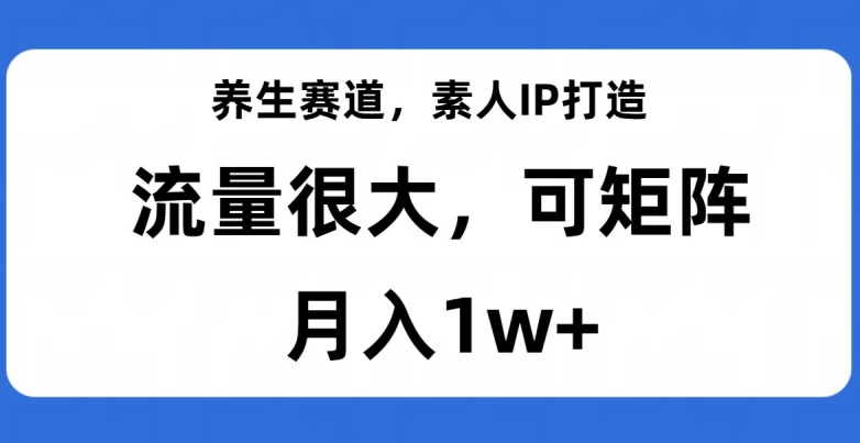 [第2257讲]【流量大、可矩阵】养生赛道IP打造，月入1w+