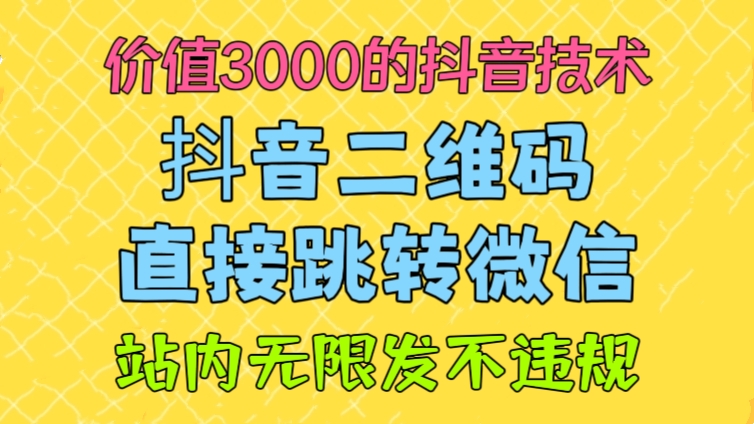 [第2344讲]❤️价值3000的抖音技术！抖音二维码直接跳转微信！站内无限发不违规！