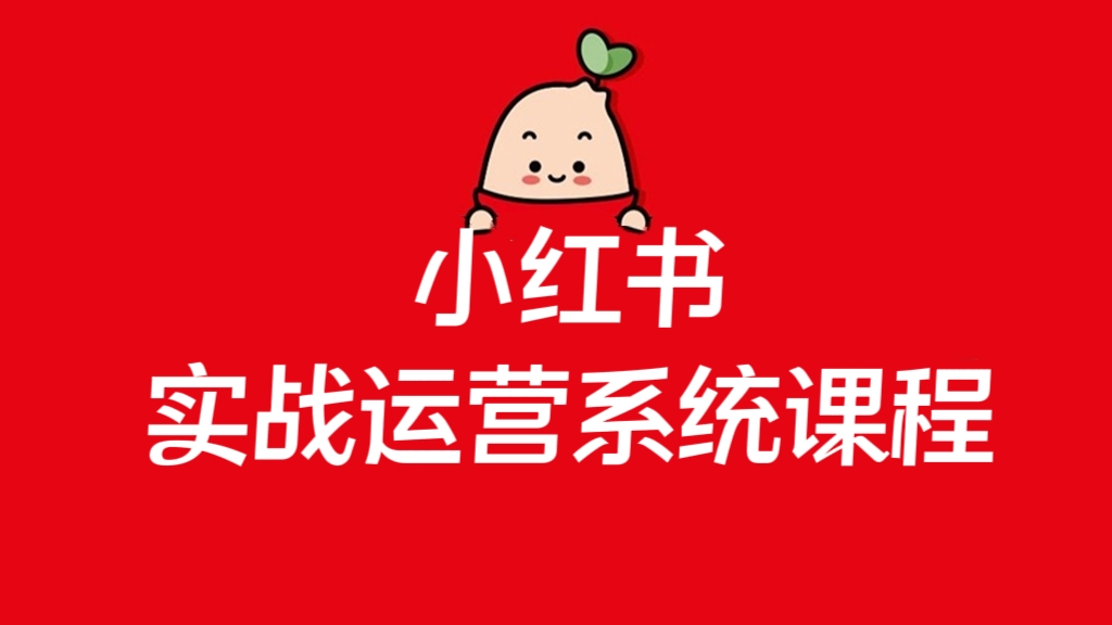[第2351讲]❤️小红书实战运营系统课程