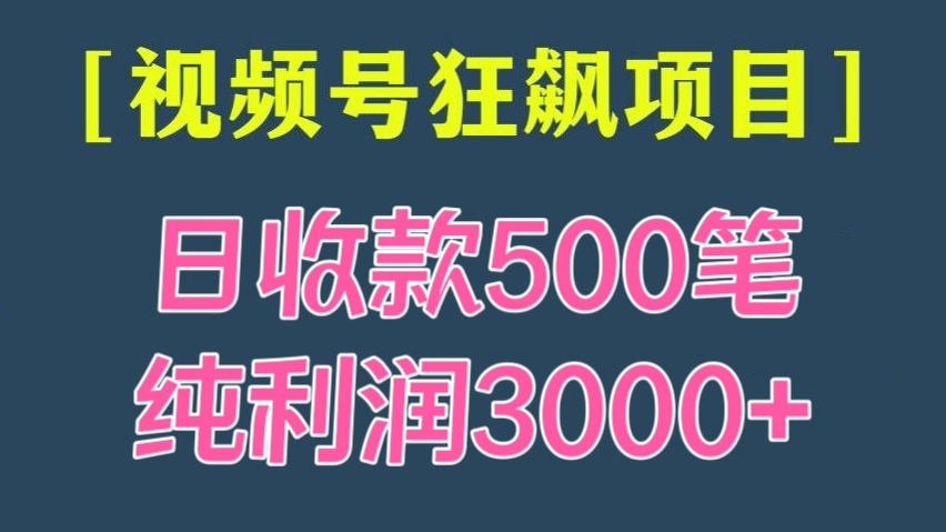 [第2367讲]日收款500笔，纯利润3000+，视频号狂飙项目